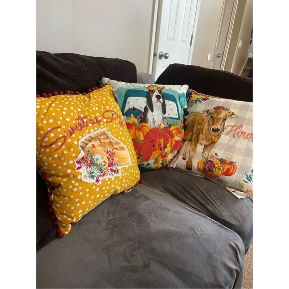 Pioneer Woman Dog Charlie Howdy Sweet as Pie Decorative Throw Pillow Set of 3 - Picture 13 of 15